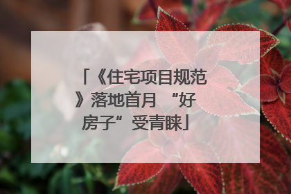 《住宅项目规范》落地首月 “好房子”受青睐