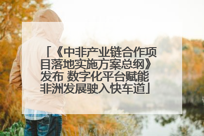《中非产业链合作项目落地实施方案总纲》发布 数字化平台赋能非洲发展驶入快车道