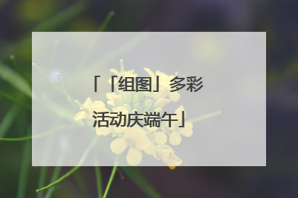 「组图」多彩活动庆端午