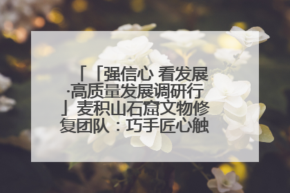 「强信心 看发展·高质量发展调研行」麦积山石窟文物修复团队：巧手匠心触摸“光阴的故事”