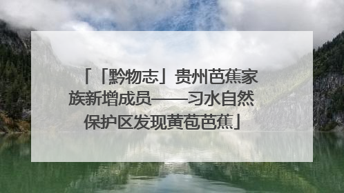 「黔物志」贵州芭蕉家族新增成员——习水自然保护区发现黄苞芭蕉