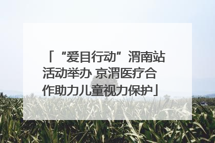 “爱目行动”渭南站活动举办 京渭医疗合作助力儿童视力保护