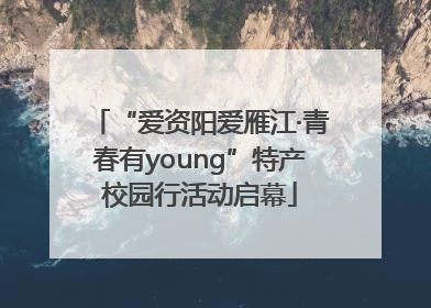 “爱资阳爱雁江·青春有young”特产校园行活动启幕