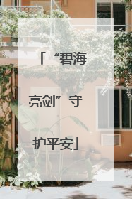“碧海亮剑”守护平安