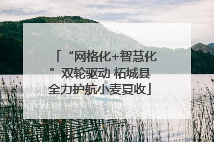 “网格化+智慧化”双轮驱动 柘城县全力护航小麦夏收