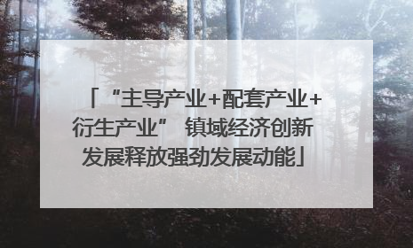 “主导产业+配套产业+衍生产业” 镇域经济创新发展释放强劲发展动能