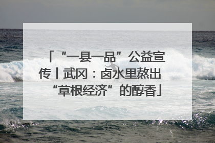 “一县一品”公益宣传丨武冈：卤水里熬出“草根经济”的醇香