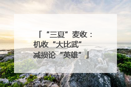 “三夏”麦收：机收“大比武” 减损论“英雄”