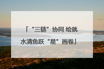 “三链”协同 绘就水清鱼跃“星”画卷