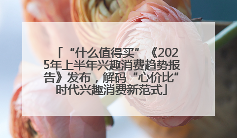 “什么值得买”《2025年上半年兴趣消费趋势报告》发布，解码“心价比”时代兴趣消费新范式