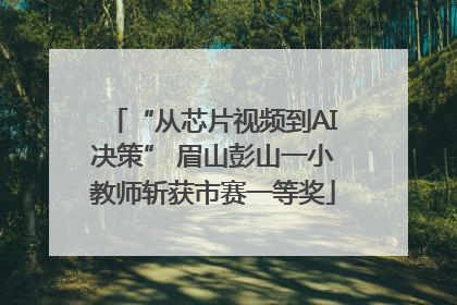 “从芯片视频到AI决策” 眉山彭山一小教师斩获市赛一等奖