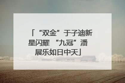 “双金”于子迪新星闪耀 “九冠”潘展乐如日中天