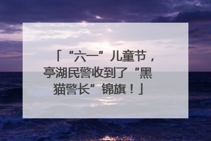 “六一”儿童节，亭湖民警收到了“黑猫警长”锦旗！