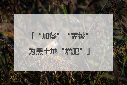 “加餐”“盖被” 为黑土地“增肥”