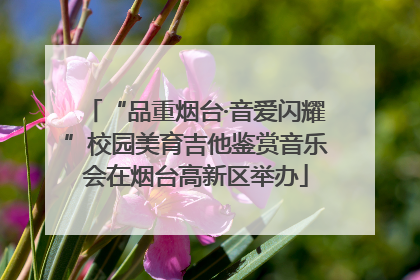 “品重烟台·音爱闪耀”校园美育吉他鉴赏音乐会在烟台高新区举办