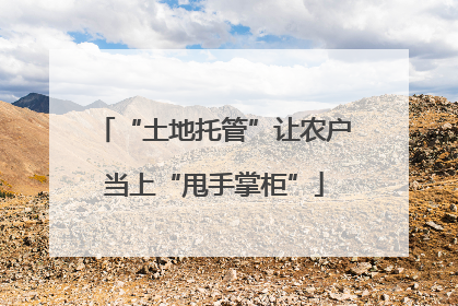 “土地托管”让农户当上“甩手掌柜”