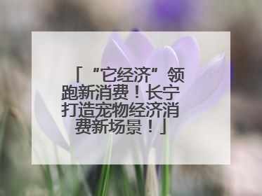 “它经济”领跑新消费！长宁打造宠物经济消费新场景！