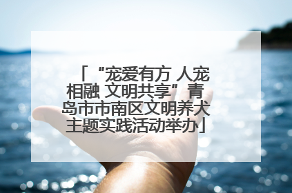 “宠爱有方 人宠相融 文明共享”青岛市市南区文明养犬主题实践活动举办