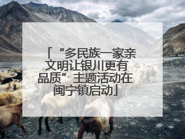 “多民族一家亲 文明让银川更有品质”主题活动在闽宁镇启动
