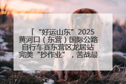 “好运山东”2025黄河口（东营）国际公路自行车赛东营区龙居站 完美“抄作业”，苦战最后时刻黄衫易主