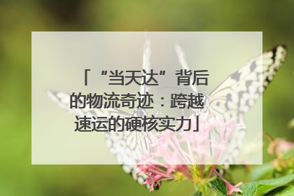 “当天达”背后的物流奇迹：跨越速运的硬核实力