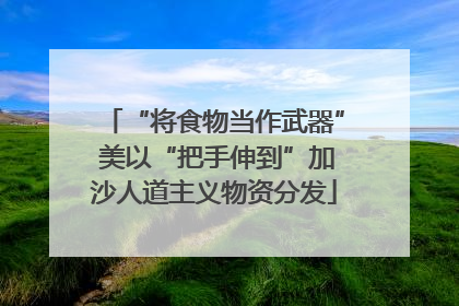 “将食物当作武器” 美以“把手伸到”加沙人道主义物资分发