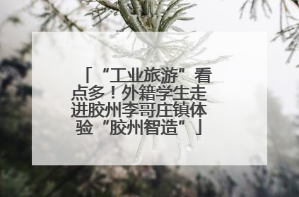 “工业旅游”看点多！外籍学生走进胶州李哥庄镇体验“胶州智造”