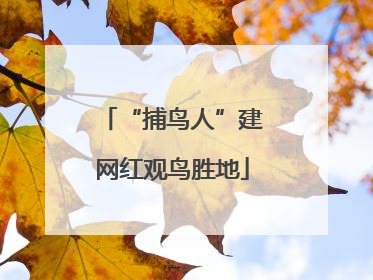 “捕鸟人”建网红观鸟胜地