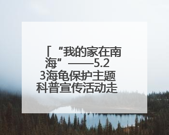 “我的家在南海”——5.23海龟保护主题科普宣传活动走进永兴岛