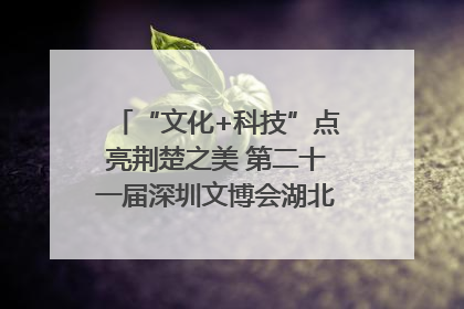 “文化+科技”点亮荆楚之美 第二十一届深圳文博会湖北馆抢“鲜”看