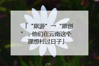 “旅游”→“旅创”，他们在云南这个理想村过日子