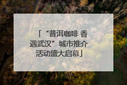 “普洱咖啡 香遇武汉”城市推介活动盛大启幕