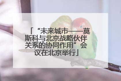 “未来城市——莫斯科与北京战略伙伴关系的协同作用”会议在北京举行