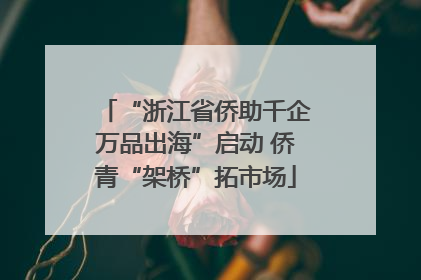 “浙江省侨助千企万品出海”启动 侨青“架桥”拓市场
