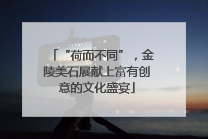 “荷而不同”，金陵美石展献上富有创意的文化盛宴