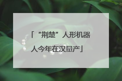 “荆楚”人形机器人今年在汉量产