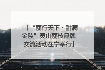 “荔行天下・甜满金陵”灵山荔枝品牌交流活动在宁举行