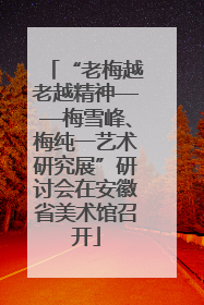 “老梅越老越精神——梅雪峰、梅纯一艺术研究展”研讨会在安徽省美术馆召开
