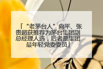 “老茅台人”向平、张贵超获推荐为茅台集团副总经理人选，后者是集团最年轻党委委员
