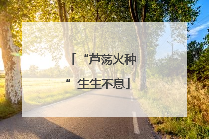 “芦荡火种”生生不息