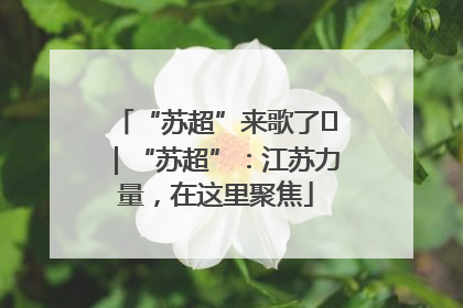 “苏超”来歌了⑪｜“苏超”：江苏力量，在这里聚焦
