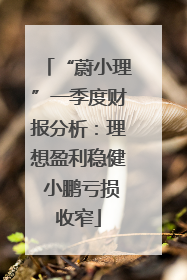 “蔚小理”一季度财报分析：理想盈利稳健 小鹏亏损收窄
