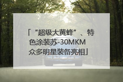 “超级大黄蜂”、特色涂装苏-30MKM 众多明星装备亮相