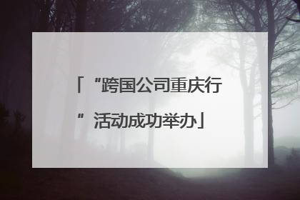 “跨国公司重庆行”活动成功举办