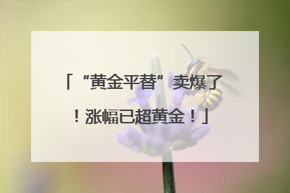 “黄金平替”卖爆了！涨幅已超黄金！