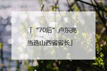 “70后”卢东亮当选山西省省长