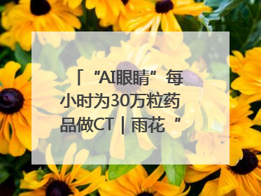 “AI眼睛”每小时为30万粒药品做CT｜雨花“创”世代