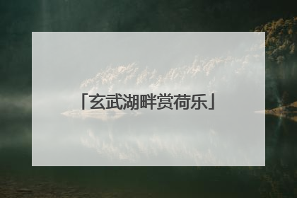 玄武湖畔赏荷乐