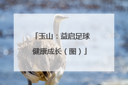玉山：益启足球 健康成长（图）