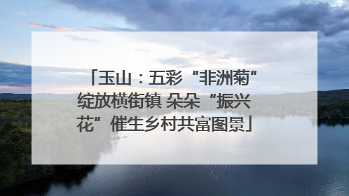 玉山：五彩“非洲菊”绽放横街镇 朵朵“振兴花”催生乡村共富图景